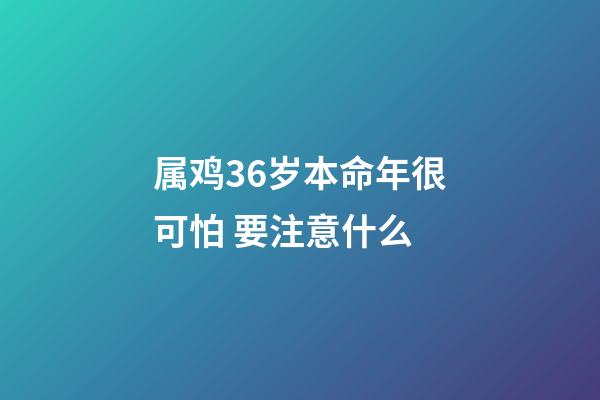 属鸡36岁本命年很可怕 要注意什么